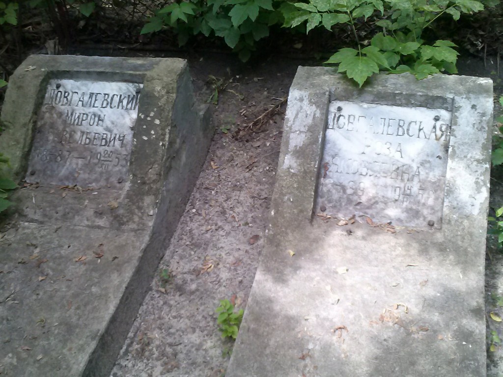 Довгалевский Мирон Савельевич, Саратов, Еврейское кладбище